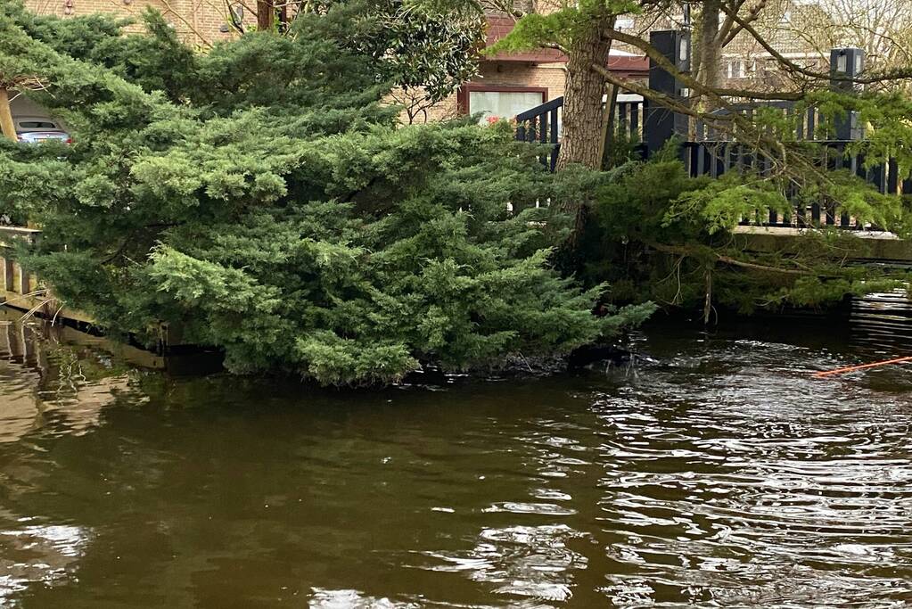 Duiker zoekt in water naar gestolen telefoon