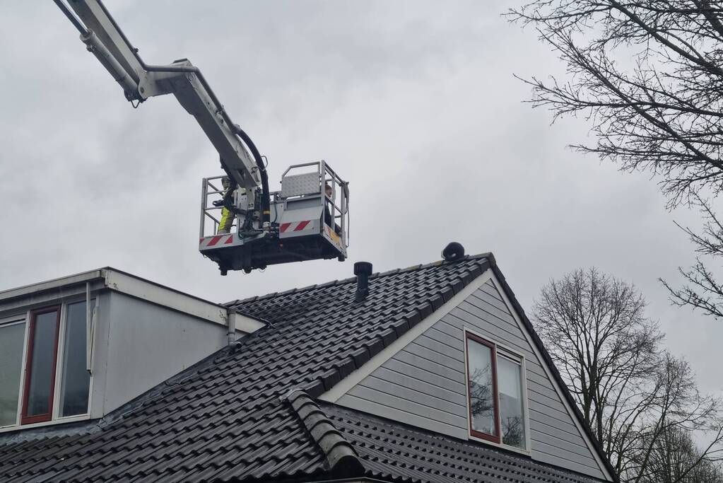 Baasje redt kat van het dak