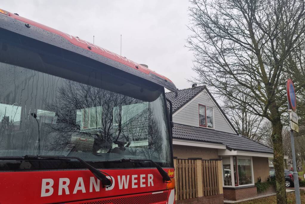 Baasje redt kat van het dak