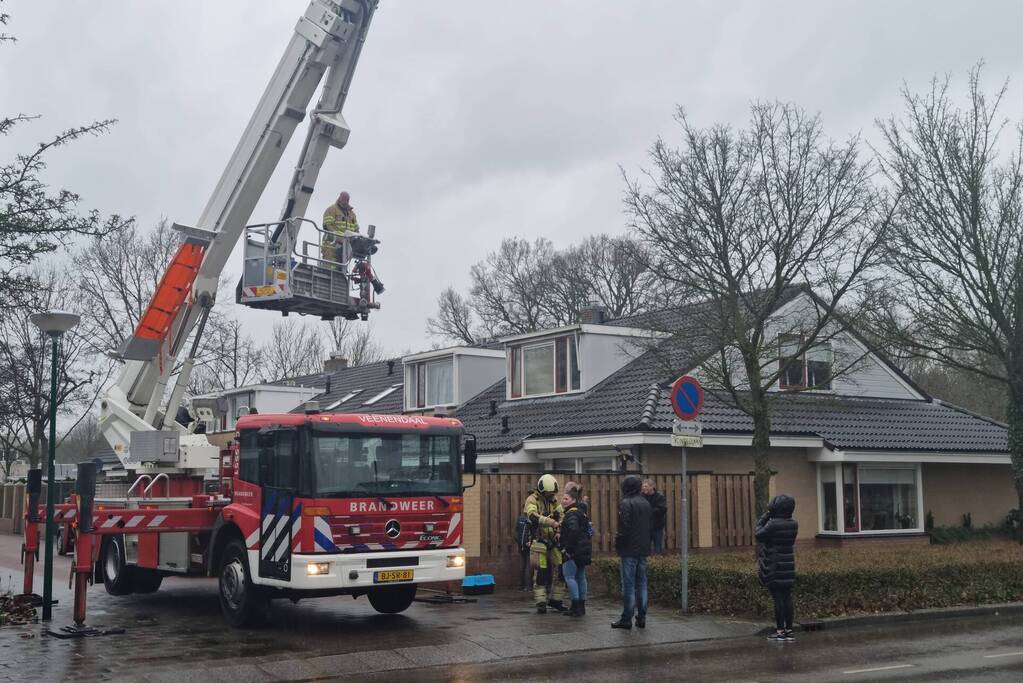 Baasje redt kat van het dak