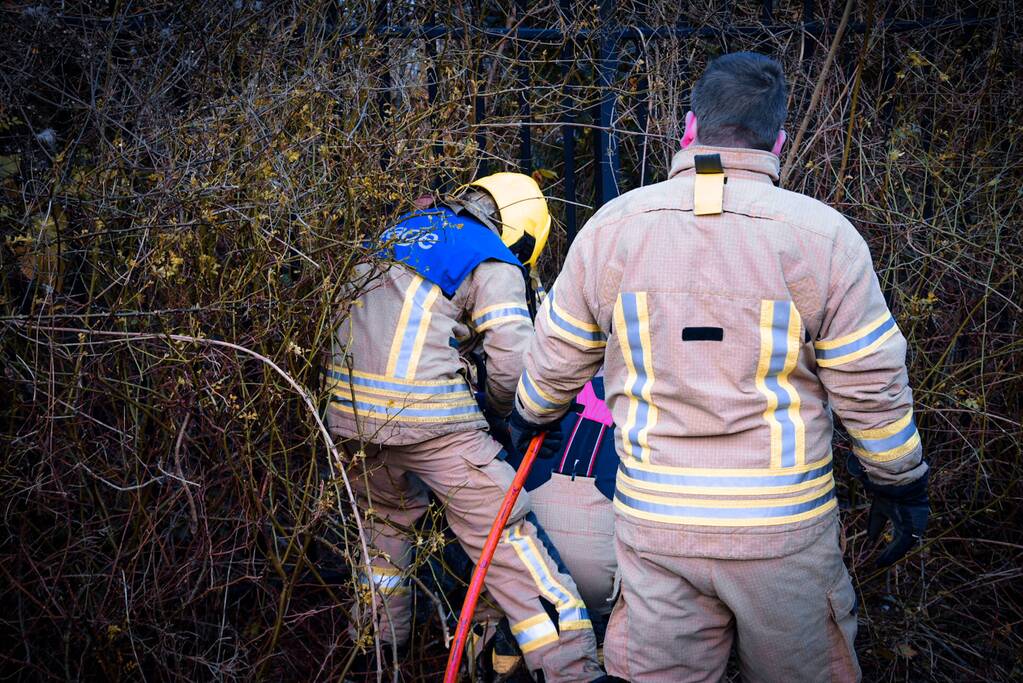 Brandweer redt ree uit hek