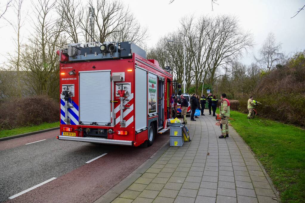 Brandweer redt ree uit hek