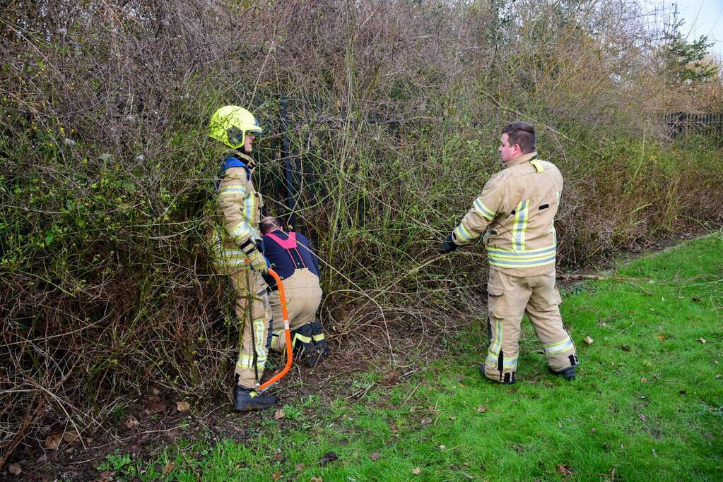 Brandweer redt ree uit hek