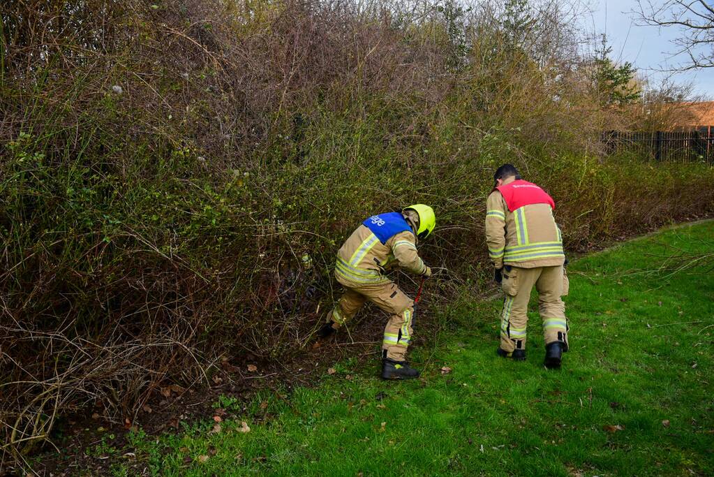 Brandweer redt ree uit hek