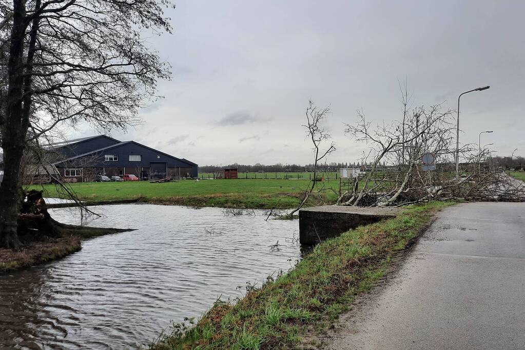 Boom valt over weg heen