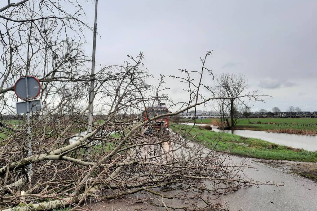 Boom valt over weg heen