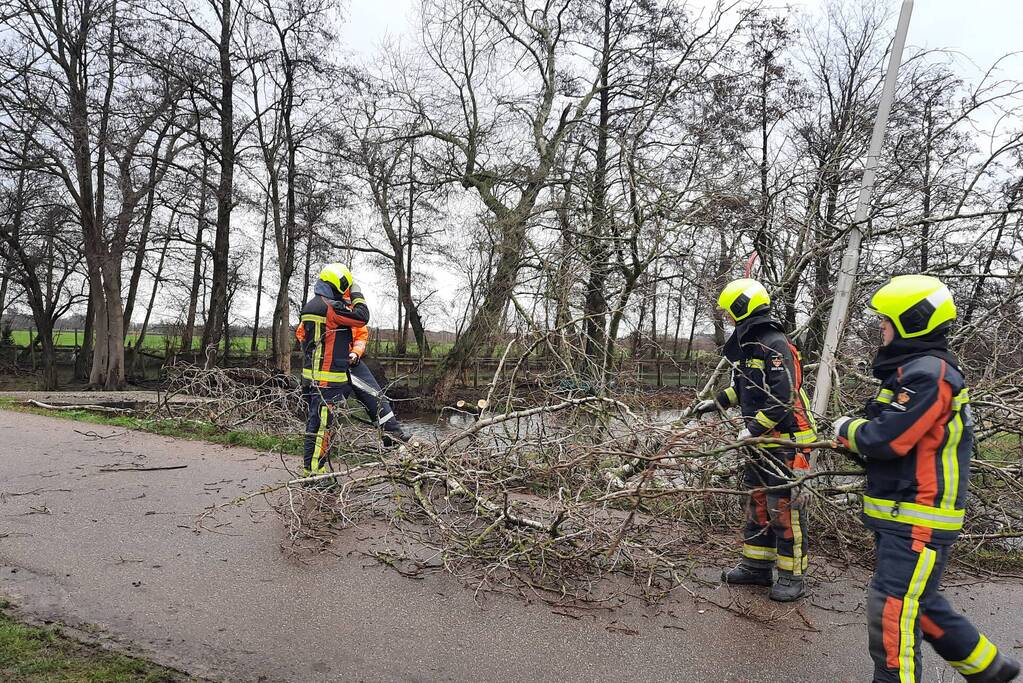 Boom valt over weg heen