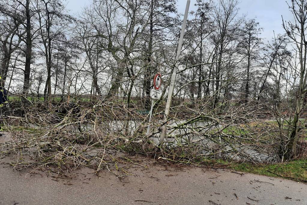 Boom valt over weg heen