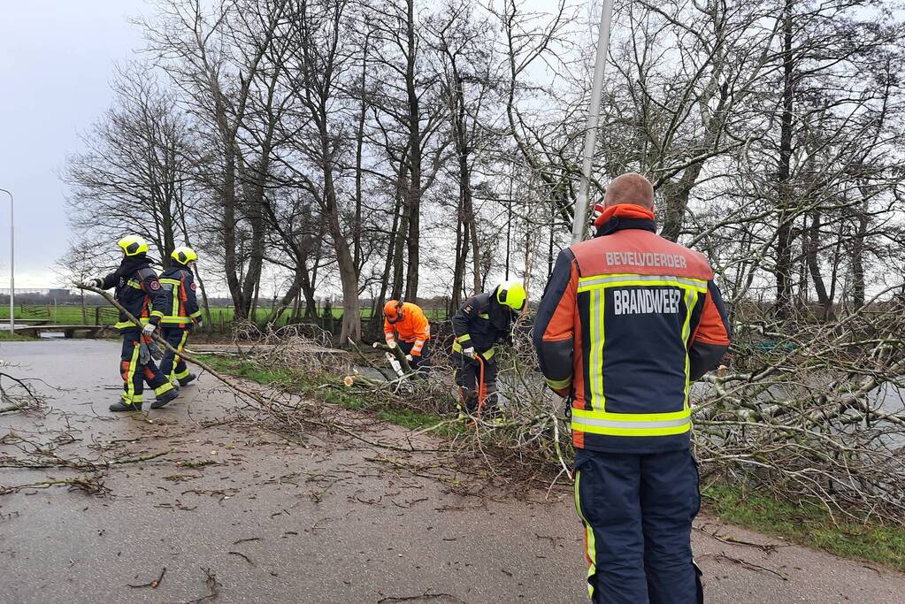 Boom valt over weg heen