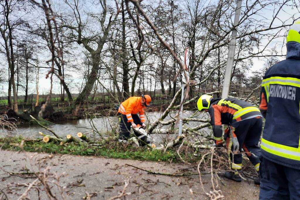 Boom valt over weg heen