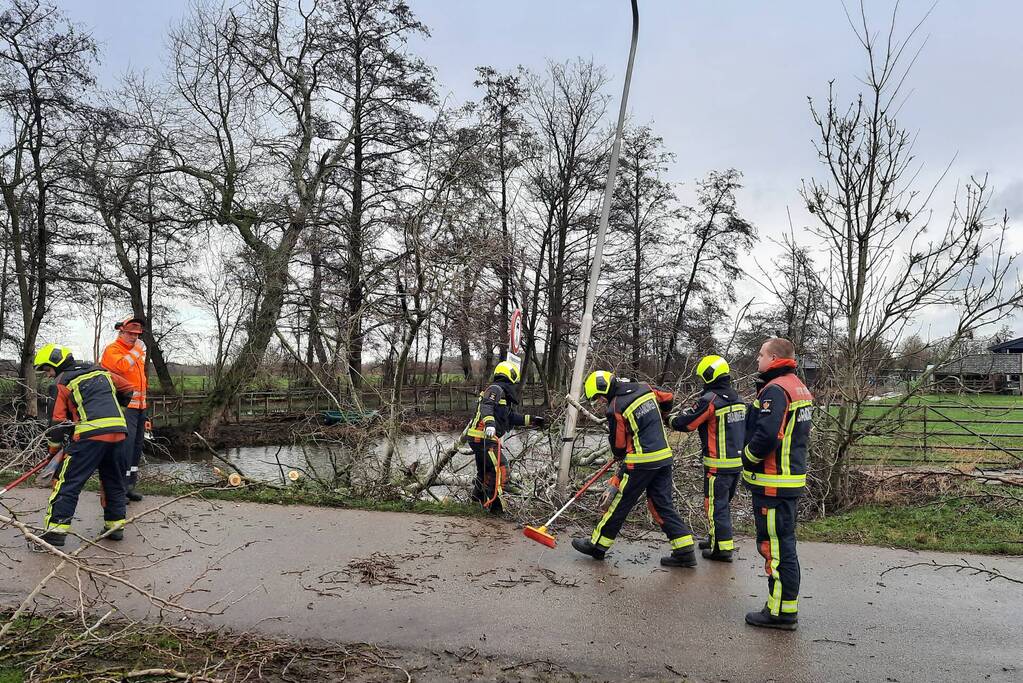 Boom valt over weg heen