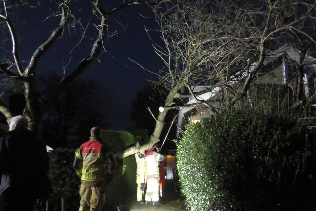 Grote tak breekt van boom