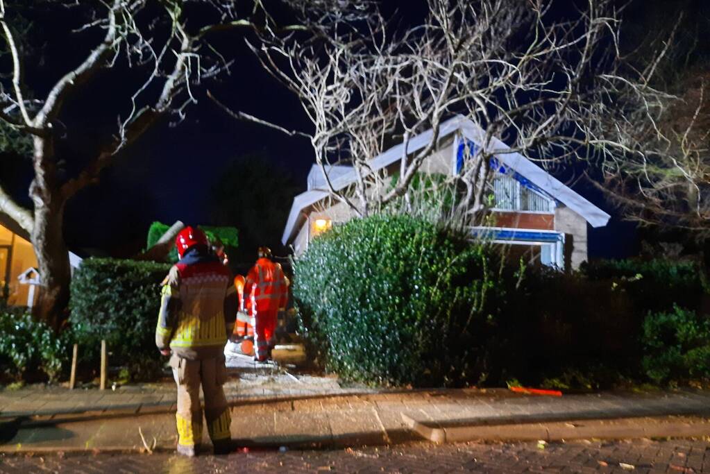 Grote tak breekt van boom