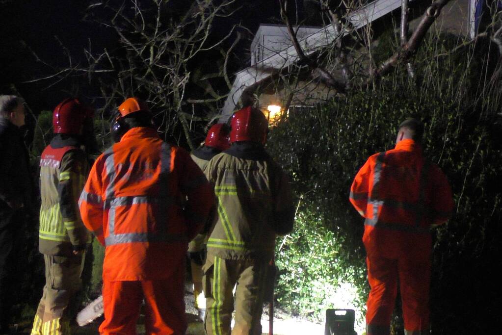 Grote tak breekt van boom