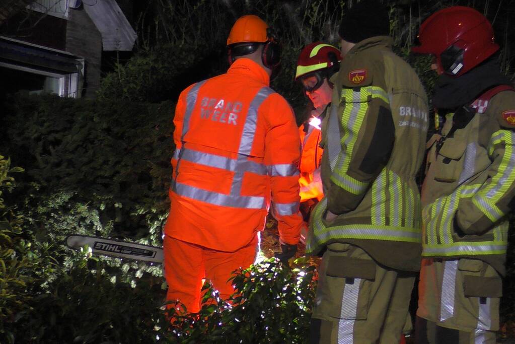 Grote tak breekt van boom