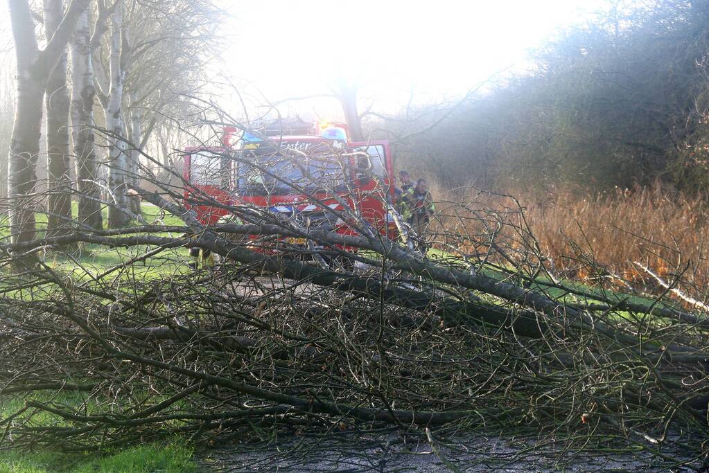 Omgewaaide boom verspert weg