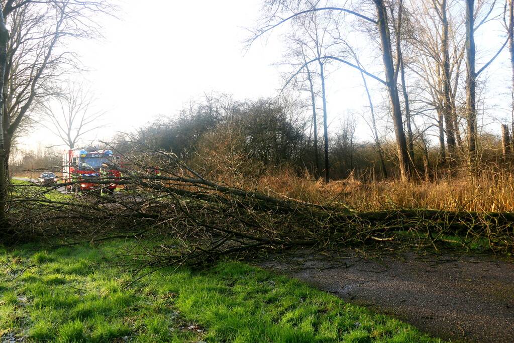 Omgewaaide boom verspert weg