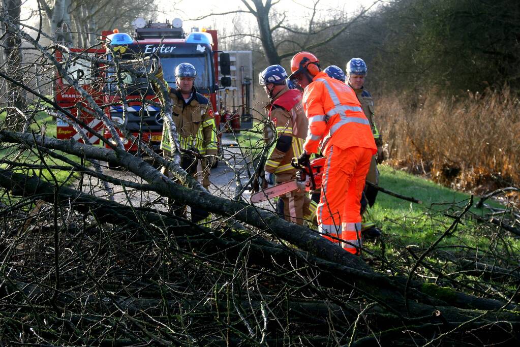Omgewaaide boom verspert weg