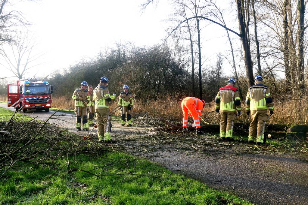 Omgewaaide boom verspert weg