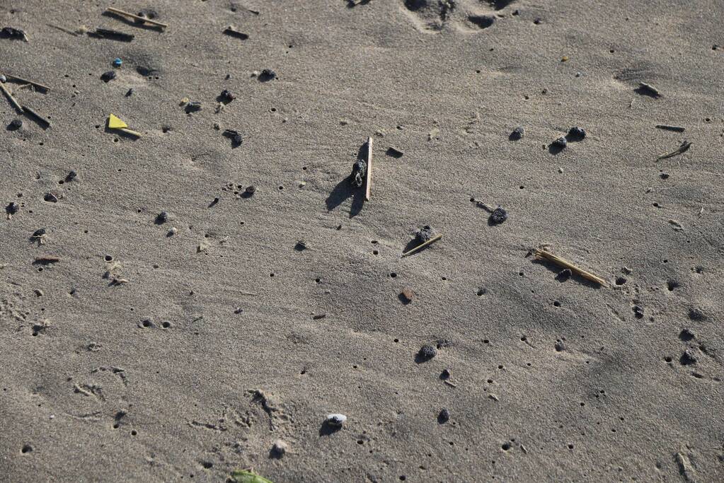 Meerdere bolletjes olie op strand aangetroffen