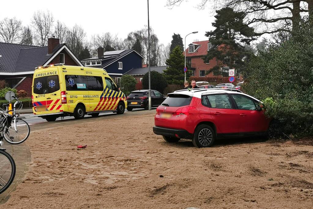 Automobilist ramt fietser en komt in bosjes tot stilstand