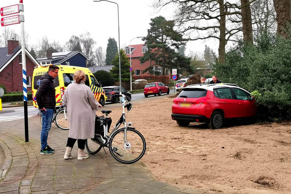 Automobilist ramt fietser en komt in bosjes tot stilstand