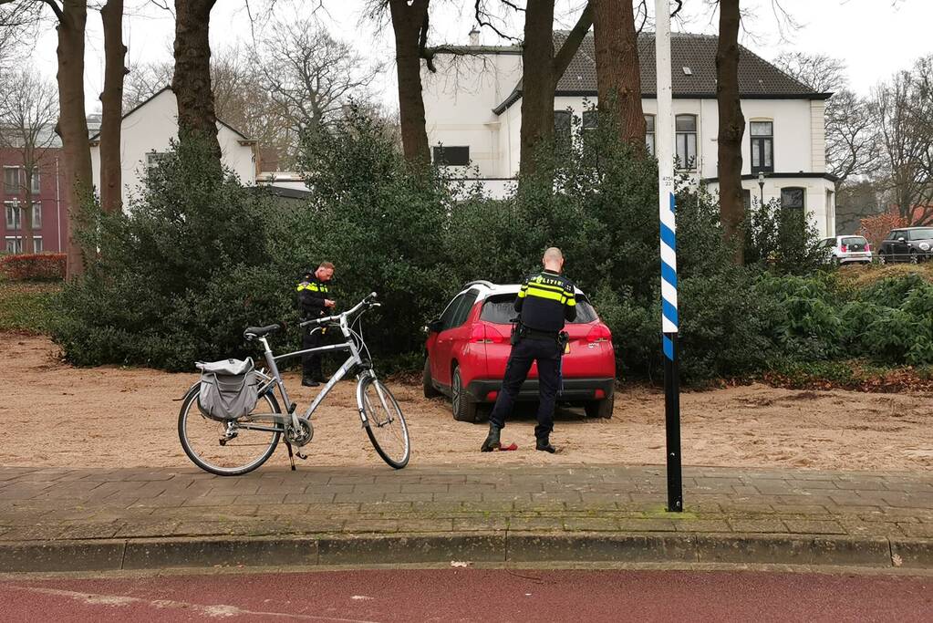 Automobilist ramt fietser en komt in bosjes tot stilstand