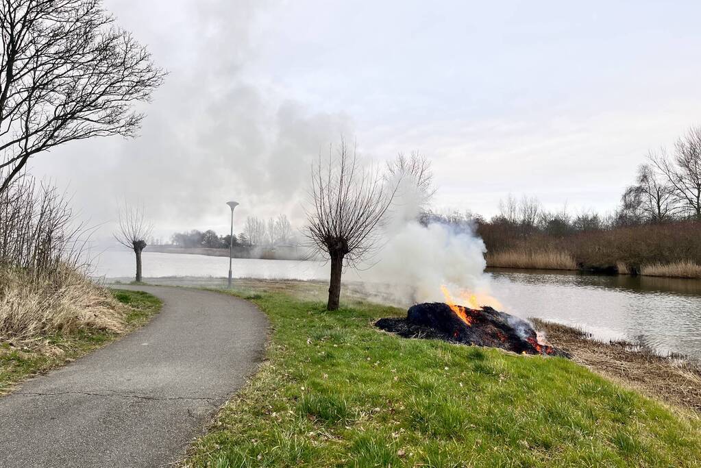 Veel rook en vuur bij brand in riet