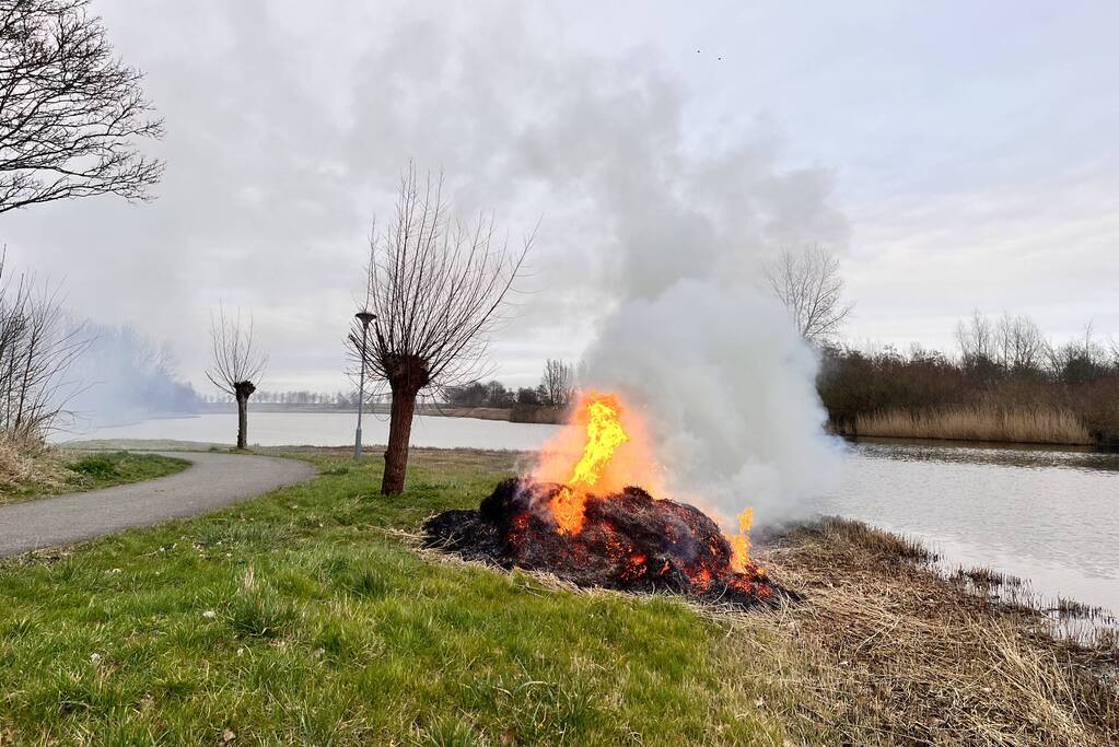 Veel rook en vuur bij brand in riet
