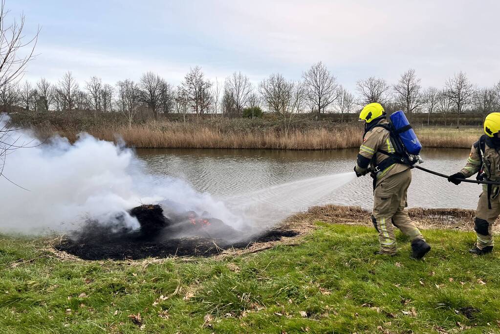 Veel rook en vuur bij brand in riet
