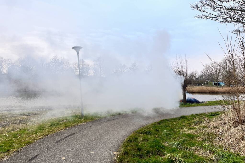 Veel rook en vuur bij brand in riet