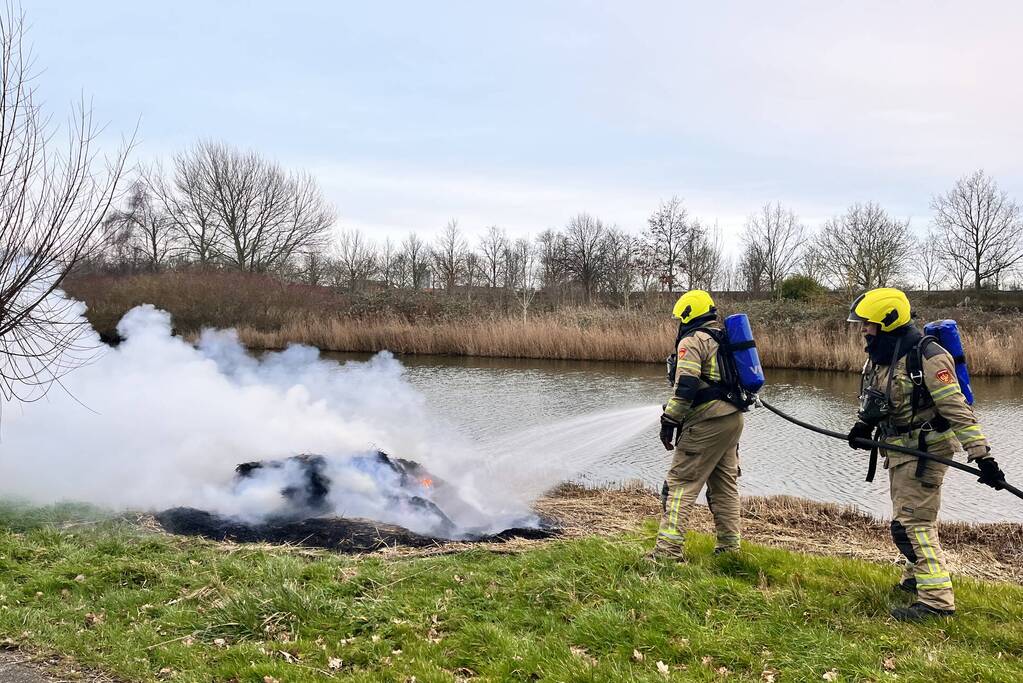 Veel rook en vuur bij brand in riet