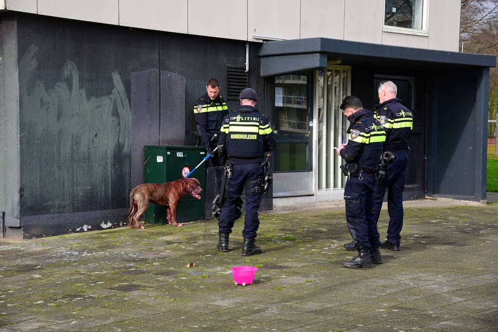 Meerdere gewonden na aanval van agressieve hond
