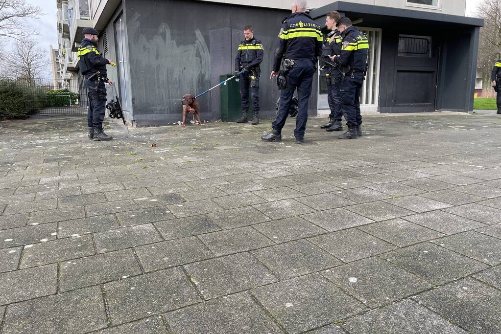 Meerdere gewonden na aanval van agressieve hond