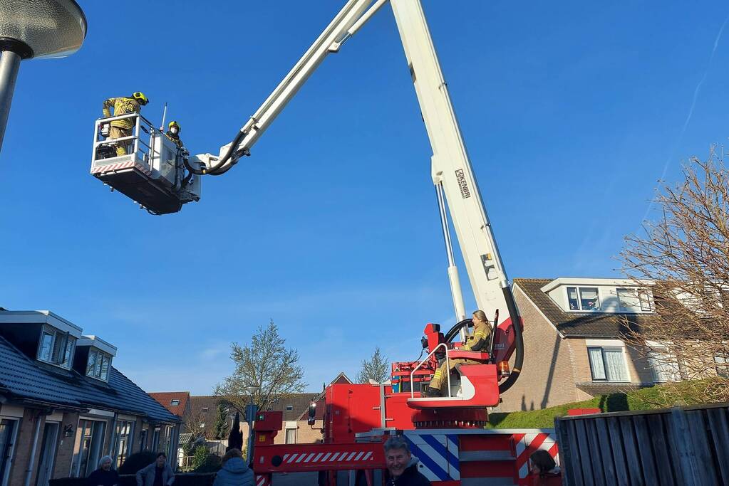Brandweer redt kat van dak