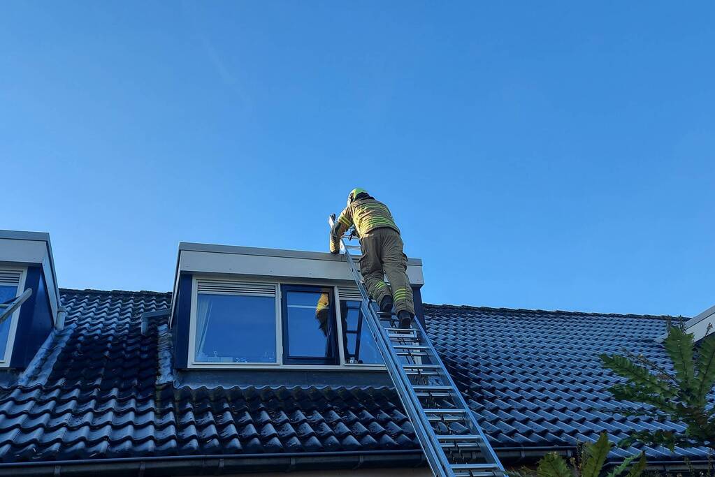 Brandweer redt kat van dak