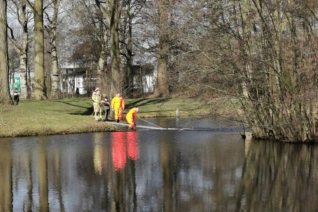 Brandweer redt gans met visdraad om zijn nek