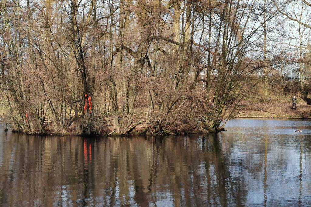Brandweer redt gans met visdraad om zijn nek