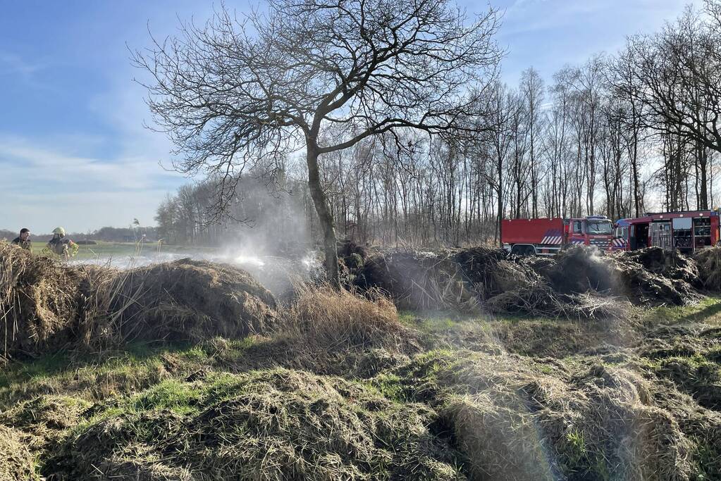 Brand in berg met gemaaid riet