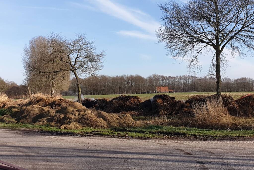 Brand in berg met gemaaid riet