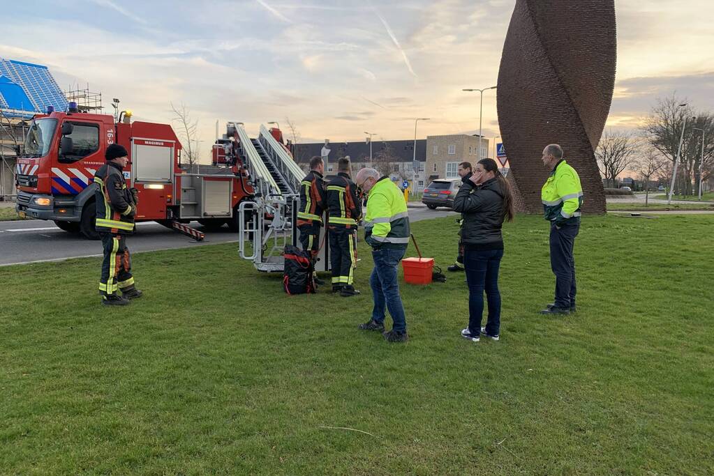 Brandweer redt gans uit kunstwerk