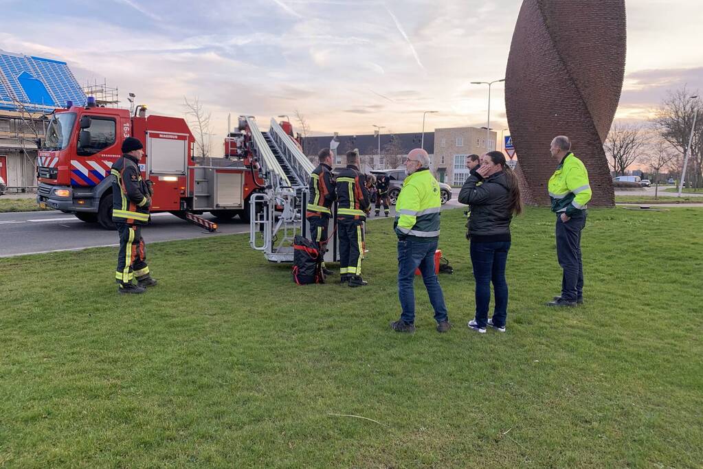 Brandweer redt gans uit kunstwerk