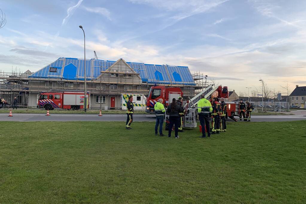 Brandweer redt gans uit kunstwerk