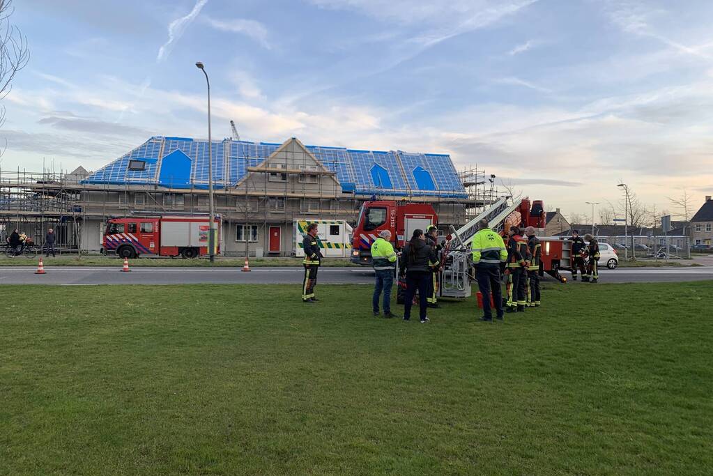 Brandweer redt gans uit kunstwerk