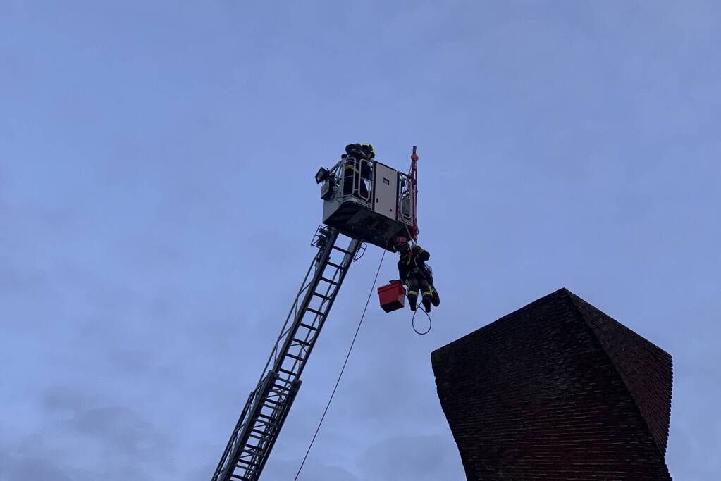 Brandweer redt gans uit kunstwerk
