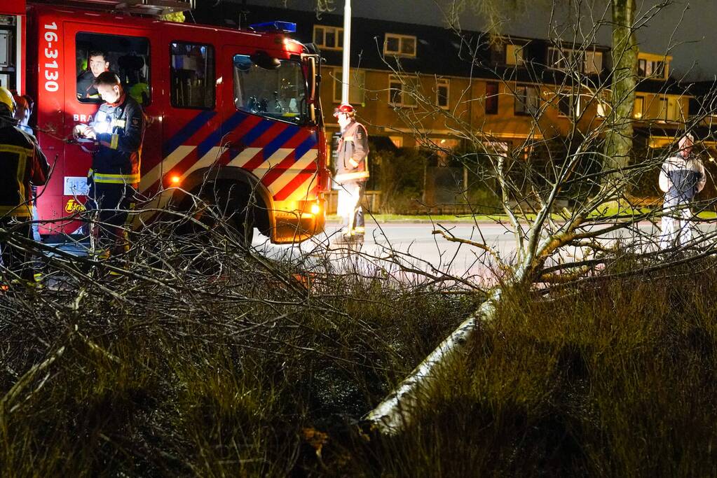 Boom valt om door harde wind