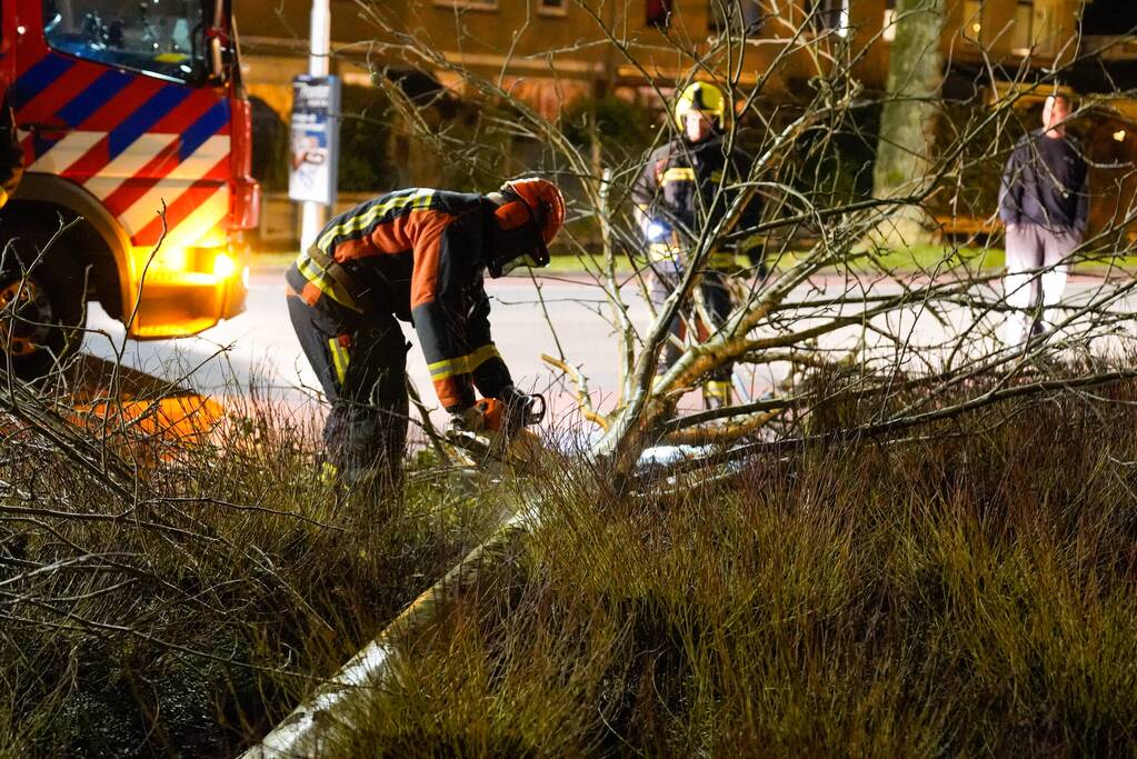 Boom valt om door harde wind