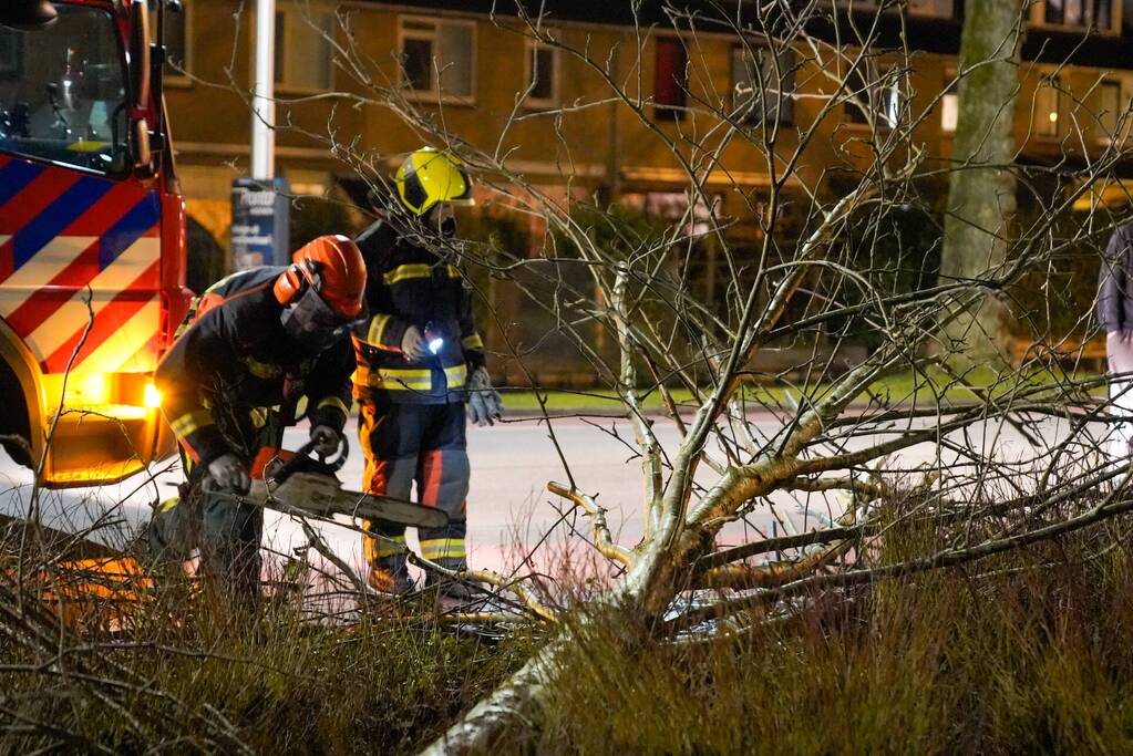 Boom valt om door harde wind