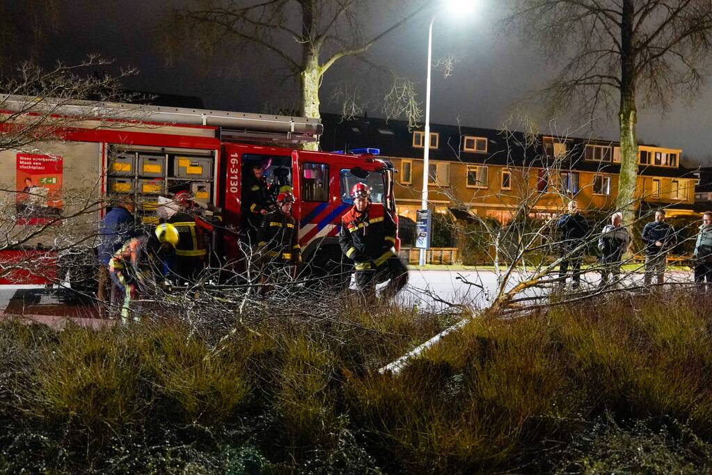 Boom valt om door harde wind
