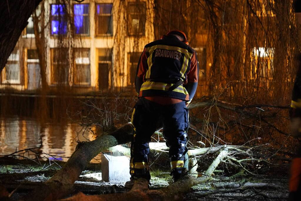 Tak afgebroken en op de weg gevallen